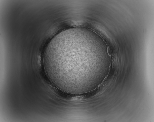 X0000094220700200711091256