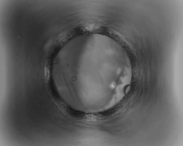 X0000094220703200711091256