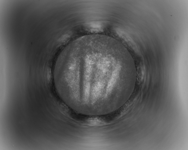 X0000094220704200711091256