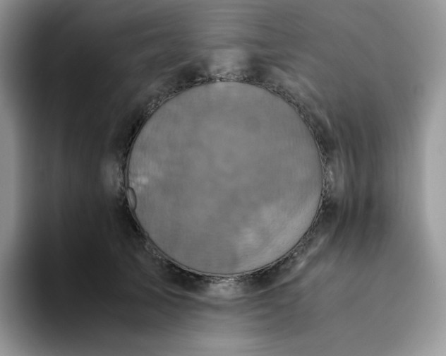 X0000094220705200711091256