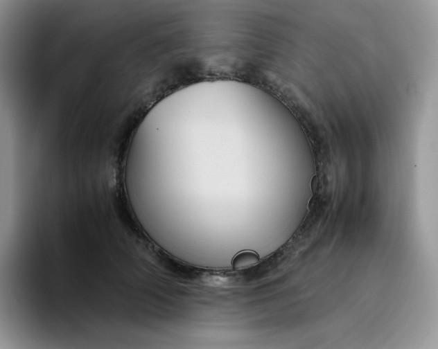 X0000094220706200711091256