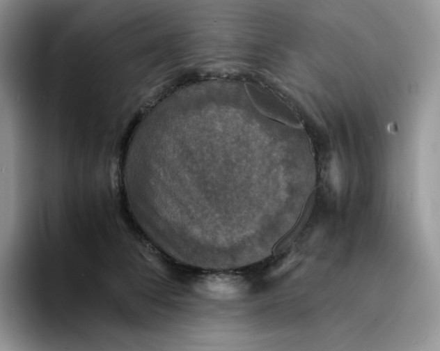 X0000094220708200711091256