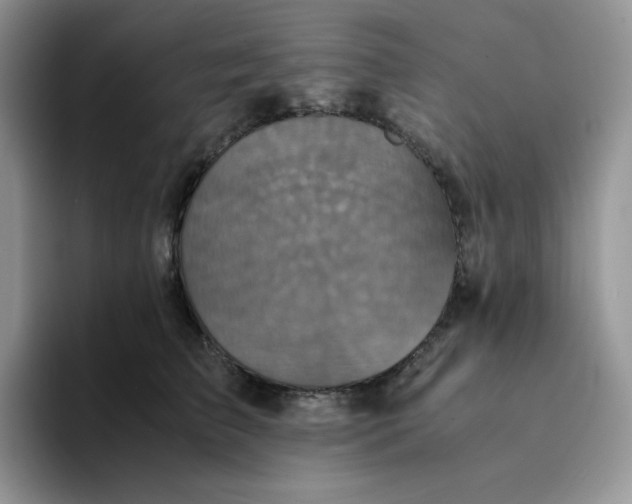 X0000094220709200711091256