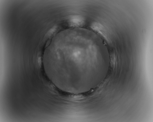 X0000094220716200711091256