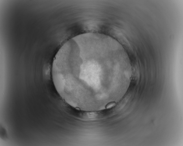 X0000094220717200711091256