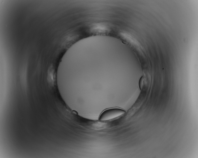 X0000094220718200711091256