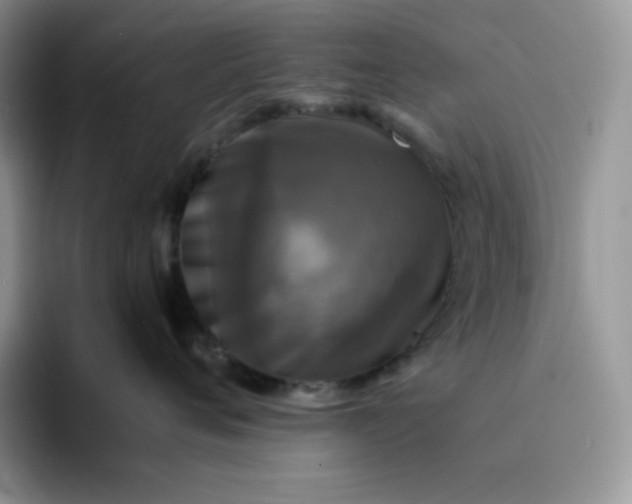 X0000094220720200711091256