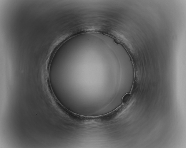 X0000094220721200711091255