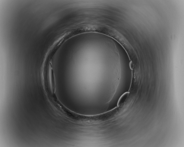 X0000094220722200711091255