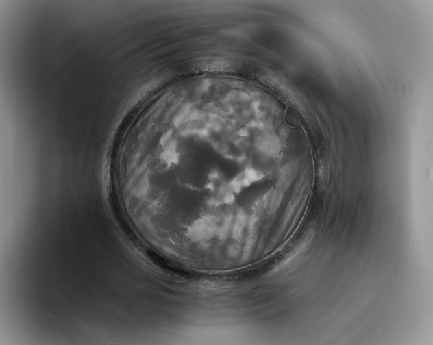 X0000094220725200711091255