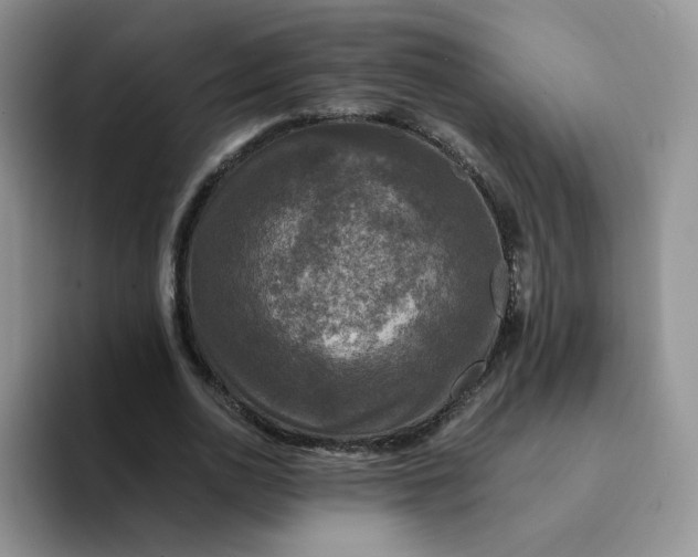 X0000094220726200711091255