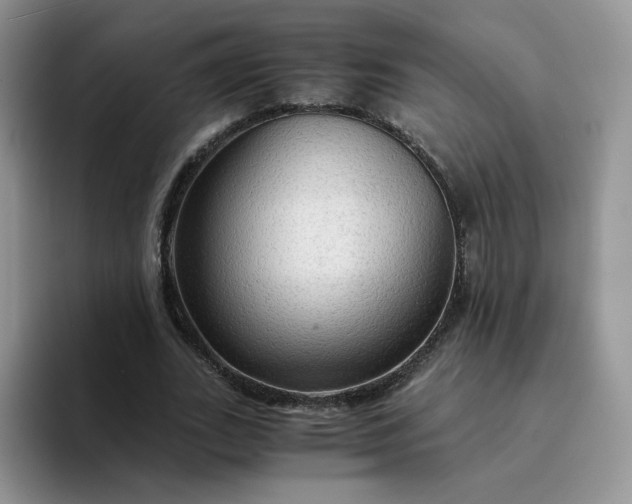 X0000094220727200711091255