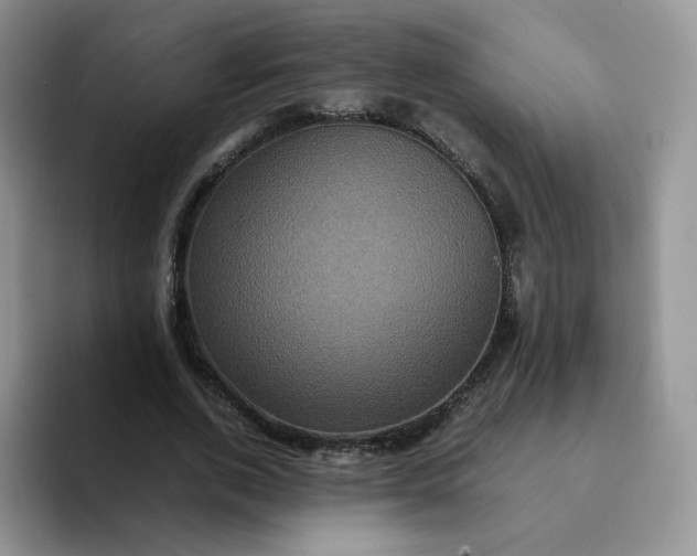 X0000094220728200711091255