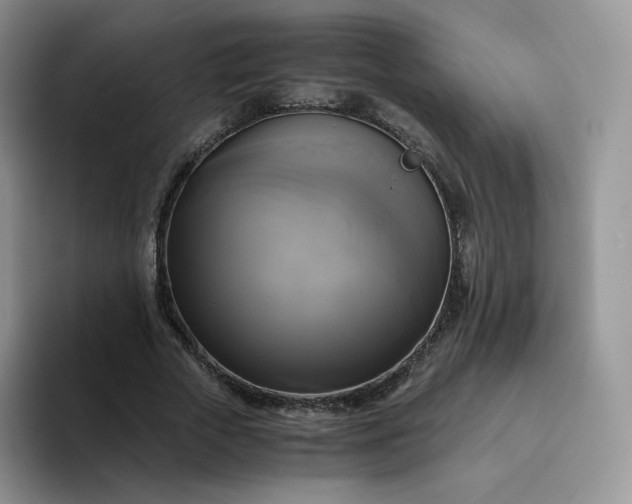 X0000094220729200711091255