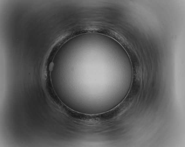 X0000094220731200711091255