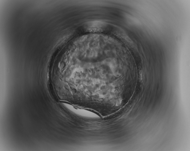 X0000094220733200711091255