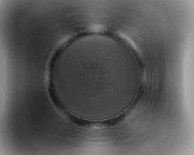 X0000094220736200711091255