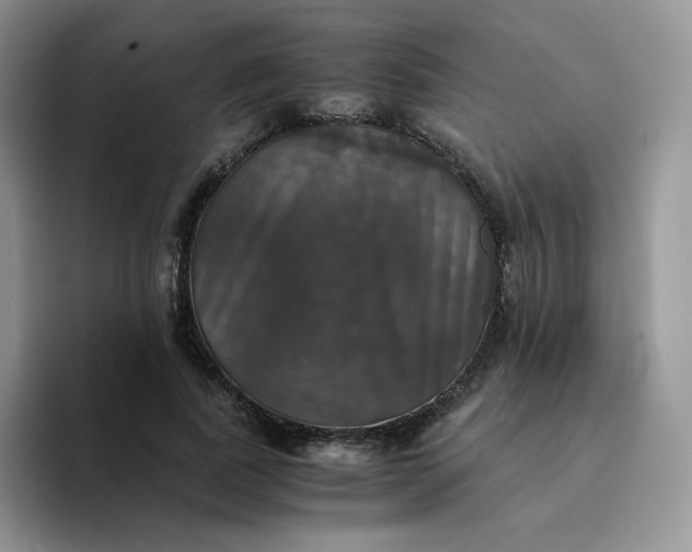 X0000094220739200711091255