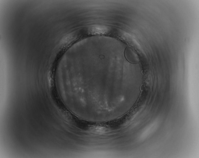 X0000094220743200711091255