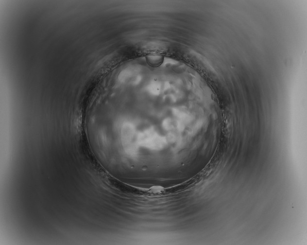 X0000094220745200711091255