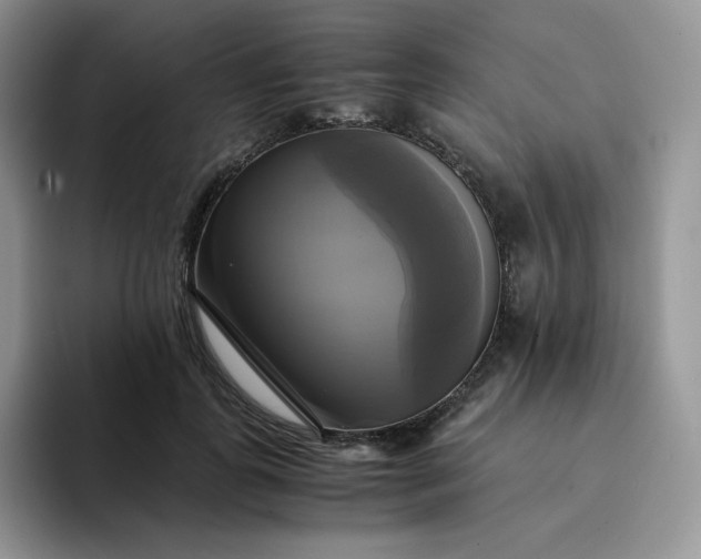 X0000094220747200711091255