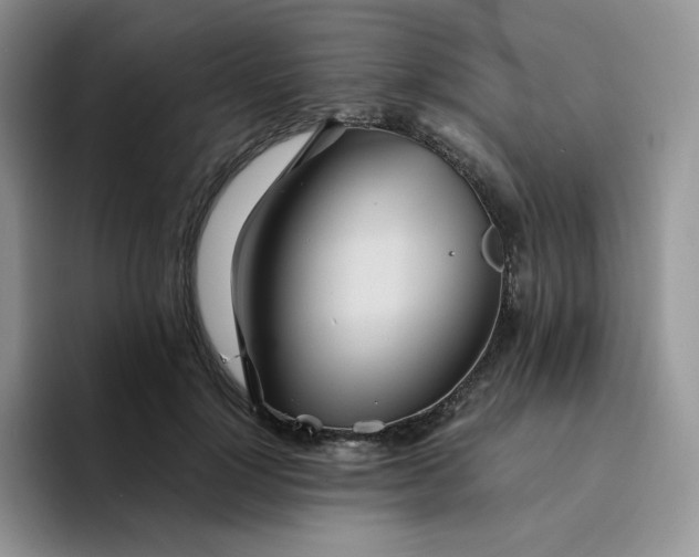 X0000094220748200711091255