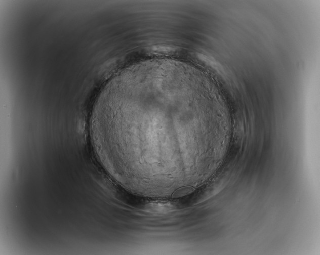 X0000094220749200711091255