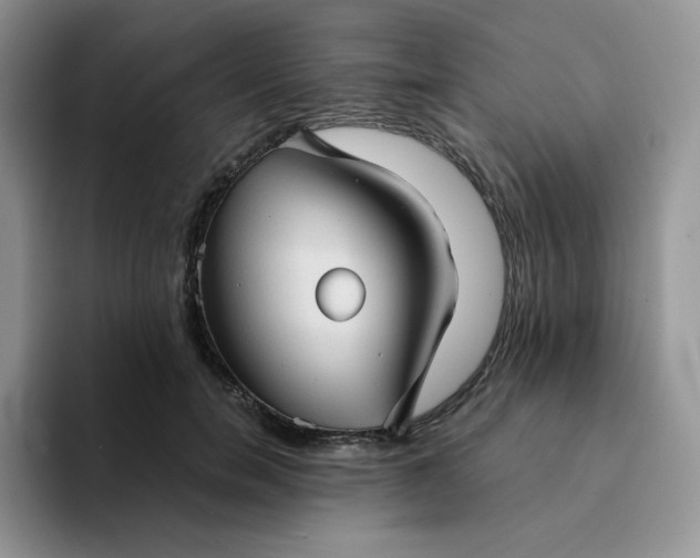 X0000094220750200711091256