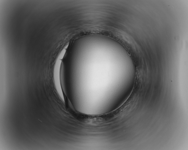 X0000094220752200711091256