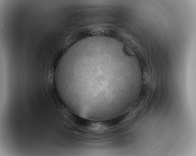 X0000094220753200711091256