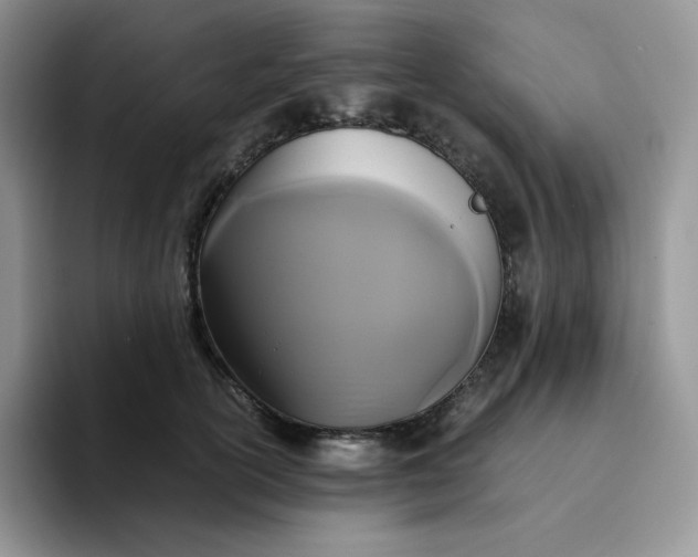 X0000094220754200711091256