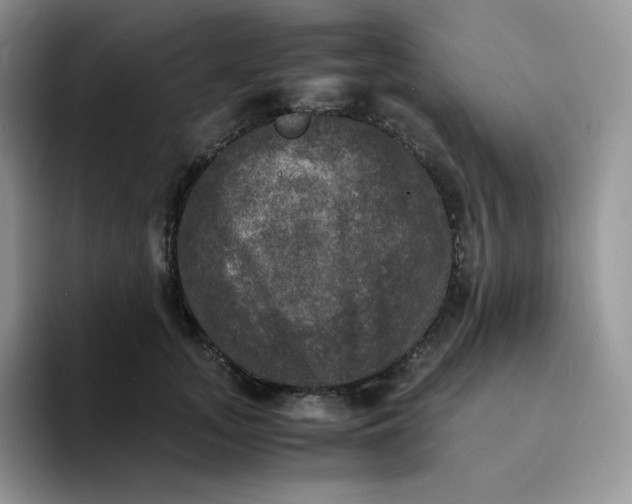 X0000094220755200711091256