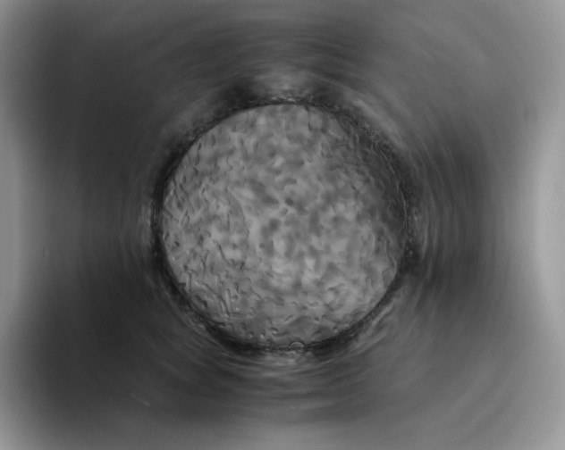 X0000094220757200711091256