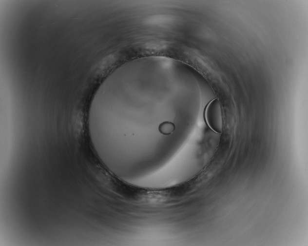 X0000094220758200711091256