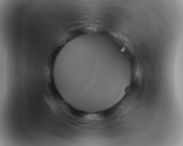 X0000094220759200711091256