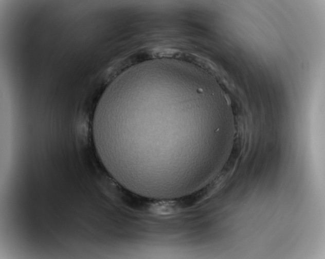 X0000094220761200711091256