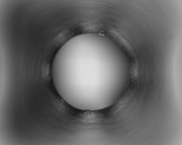 X0000094220764200711091256