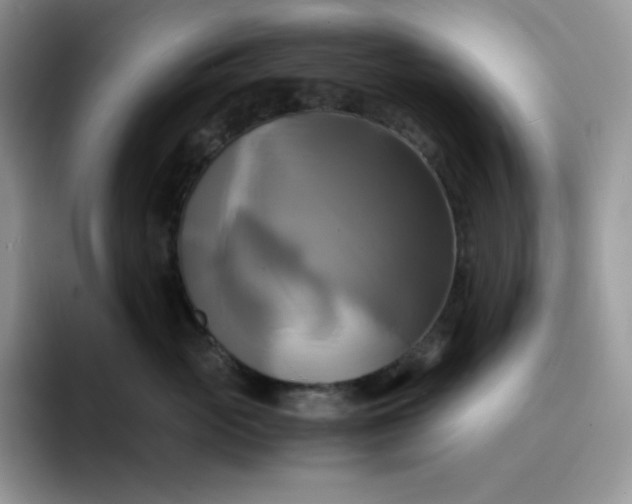 X0000094220765200711091256