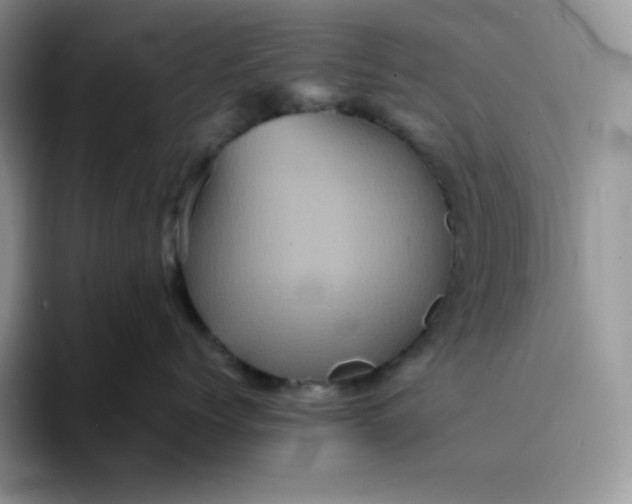 X0000094220768200711091256