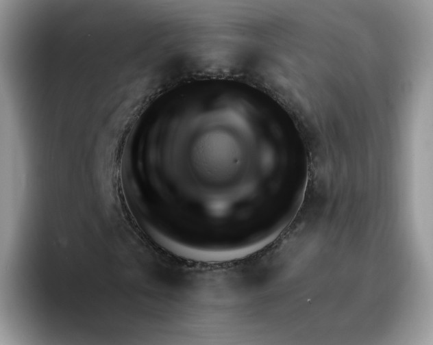 X0000094220769200711091255