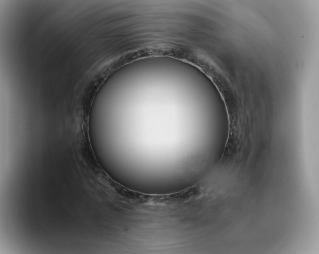 X0000094220773200711091255