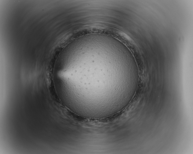 X0000094220774200711091255