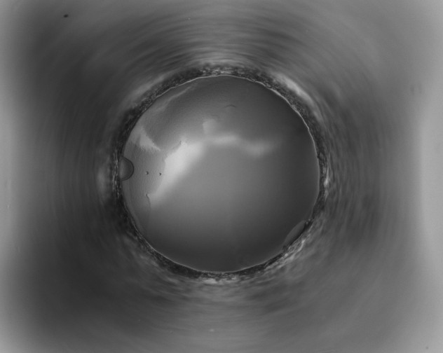 X0000094220775200711091255