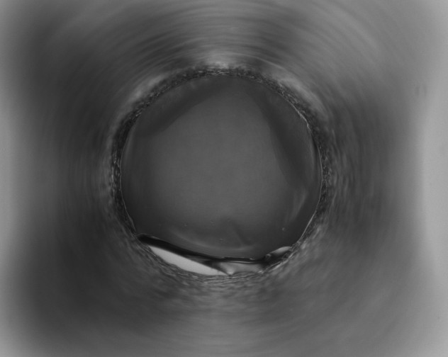 X0000094220776200711091255