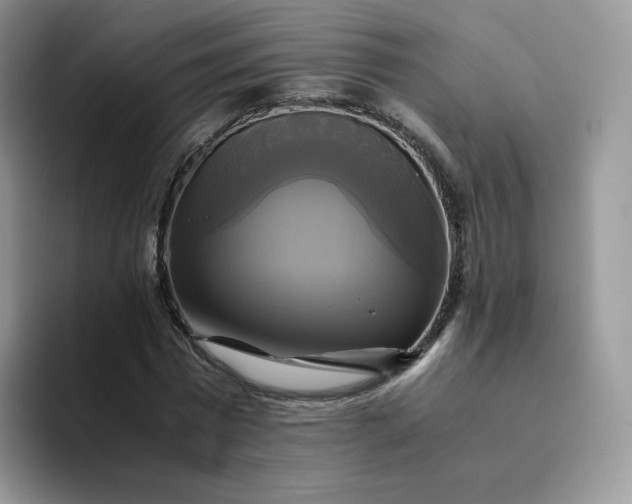 X0000094220777200711091255