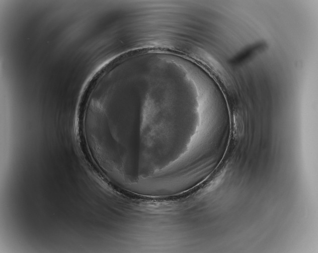 X0000094220780200711091255