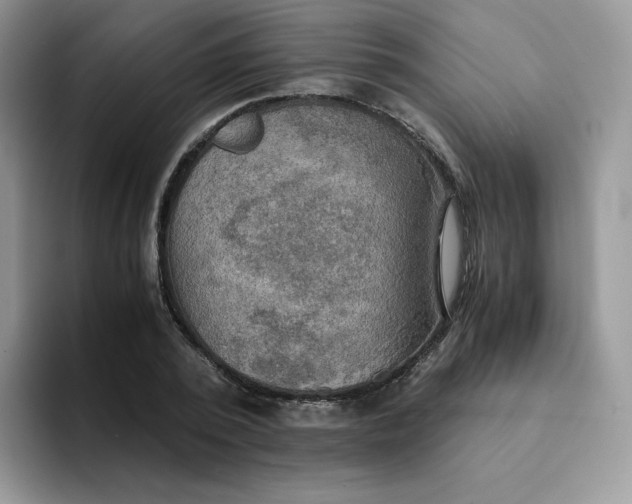 X0000094220784200711091255