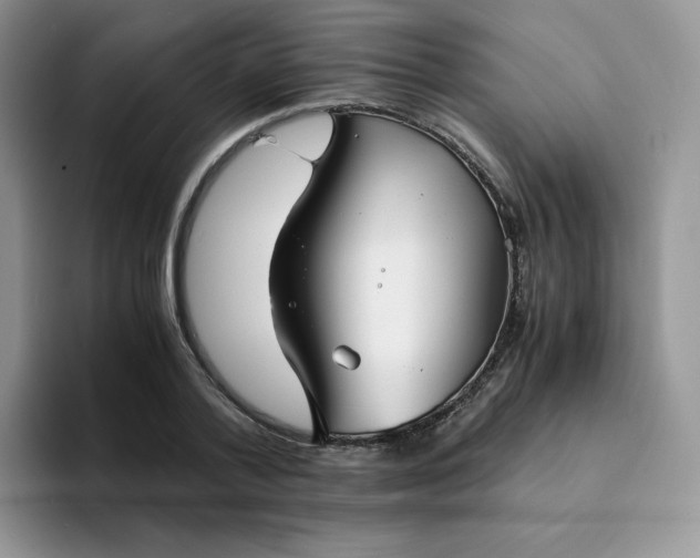 X0000094220788200711091255