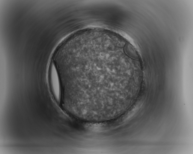 X0000094220791200711091255