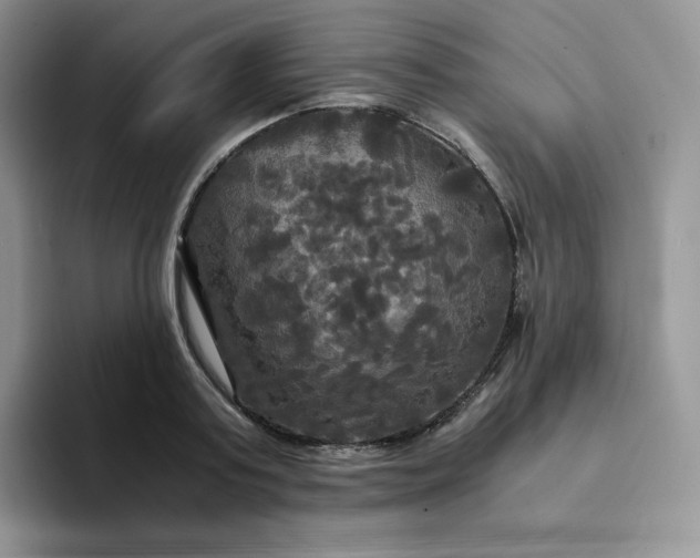 X0000094220795200711091255